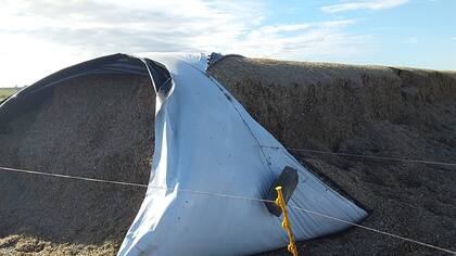 Irastorza este año decidió aumentar la carga productiva