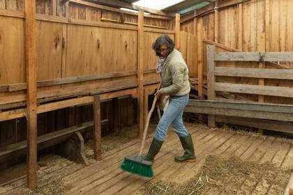 Irene limpiando el corral de las ovejas.