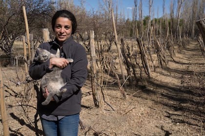 Iris Vega en la finca de Angualasto