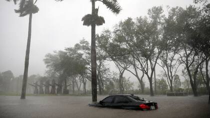 Algunos autos no lograron escapar de la inundación y quedaron sumergidos en el agua