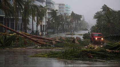 Árboles caídos cortan las calles en Miami Beach