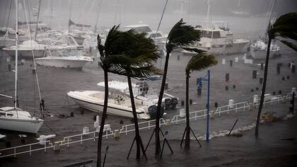 En la marina de Coconut Grove los barcos fueron arrastrados hacia la costanera