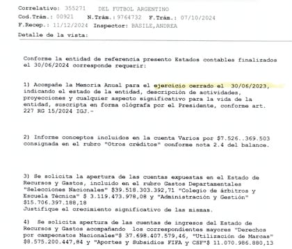 Irregularidades en los balances de la AFA