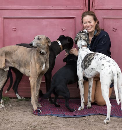 Isabel de Estrada, presidenta de la Fundación Zorba, con galgos rescatados por su ONG