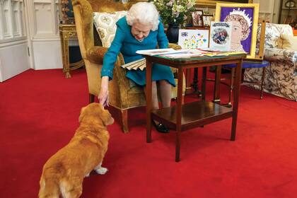 Isabel II vive rodeada de perros. Acá se la ve con su Dorgi, Candy, mientras repasa una muestra de recuerdos de su Jubileo de Oro y de Platino en el Oak Room del castillo de Windsor, el pasado 4 de febrero. 
