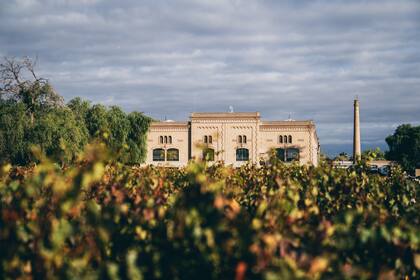 “Iscay representa la unión entre dos variedades emblemáticas, el Malbec y el Cabernet Franc, en una perfecta expresión de equilibrio, elegancia y profundidad”, destaca Marcelo Belmonte, Director de Viticultura y Enología.