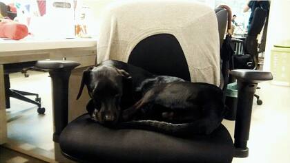 Isidro, en la oficina