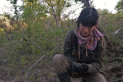 Isis Ibánez es la cuarta miembro del equipo. Aquí sostiene una rana coralina