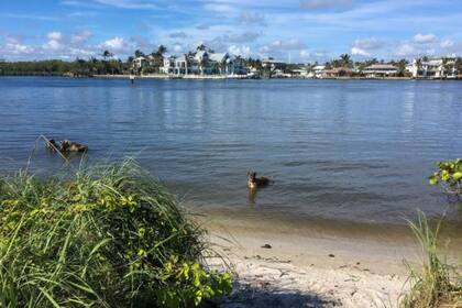 Isla Júpiter - Florida