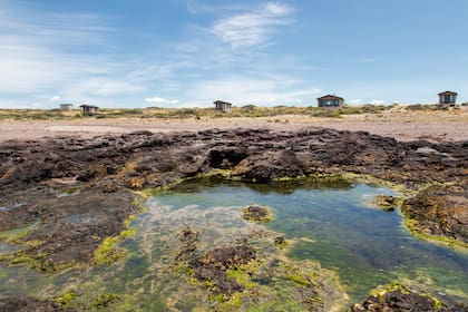 Isla Leones Camps, seis casitas alineadas frente a la costa.