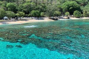 Isla Navidad, Cangrejo Rojo