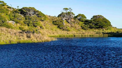 Isla Traiguén, en venta en el sur de la patagonia chilena