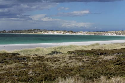 Muchos visitantes se sorprenden en Malvinas con las playas de arena blanca y agua cristalina 