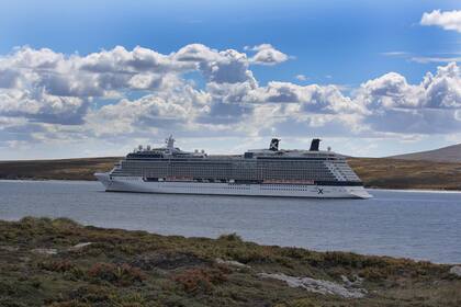 Según la Cámara de Turismo de las islas, más de 40 barcos incluyen regularmente una parada en las Malvinas en sus itinerarios de verano en el Atlántico Sur