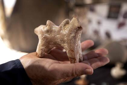 La arqueóloga Elena Oren Shmueli de la Autoridad de Antigüedades de Israel muestra un artefacto recuperado de la mansión que data del período islámico