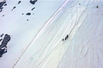 En este valle a más de 2.700 metros de altura, los trabajadores desenrollan grandes tiras de lona, que hacen que el flanco de la montaña parezca una obra de Christo, el artista que embalaba grandes espacios.