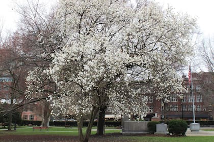 Ithaca ofrece un entorno natural ideal para la jubilación