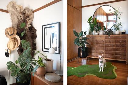 Izq.: Cada rincón está decorado con un gusto exquisito. Der.: Sobre el mueble: Anthurium crystallinum, Alocasia ‘Black Velvet’, Monstera standleyana, Siderasis fuscata, todas en macetas modelo Carlota de Planta. En el piso, Ficus elastica en maceta negra de fibra de vidrio..