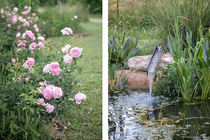 Izq.: Las rosas se lucen en el jardín. Der.: El rincón de plantas acuáticas invita al relax.