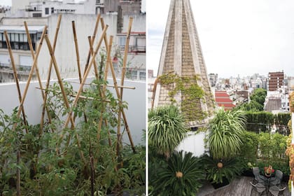 Izquierda: La huerta es el orgullo del dueño de casa, que lo transporta a una vida de campo en plena ciudad. Cada año, prueba diferentes variedades de tomates que trepan por los tutores de caña. Derecha: La cúpula del edificio es el emblema del lugar y actúa como punto focal desde todos los ángulos.