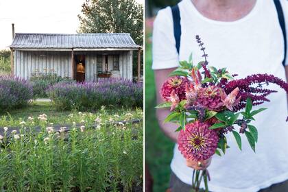Izquierda: La pequeña casa de chapa, como salida de un cuento,
hace las veces de oficina y lugar de encuentro y bienvenida de las visitas. En un futuro albergará una casa de té. Derecha: Un ramo armado “al paso” que combina colores, formas y texturas con zinias, albahaca y celosías.