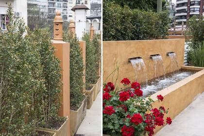Izquierda: las largas líneas rectas de eugenias (Syzygium paniculatum) podadas le dan privacidad a la terraza respecto de los edificios linderos. Derecha: la fuente, punto focal del espacio que además aporta frescura.