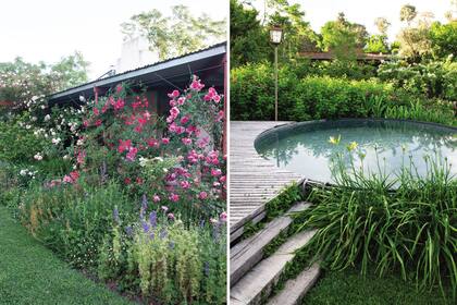 Izquierda: rosas y espuelas de caballero pueblan el jardín. Derecha: un tanque australiano rodeado de hemerocalis es una simpática pileta adosada al vagón para que sus huéspedes la disfruten.