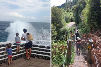 Izquierda: Waterblow, Nusa Dua, Indonesia. Derecha: Otari-Wilton´s Bush, Wellington, Nueva Zelanda
