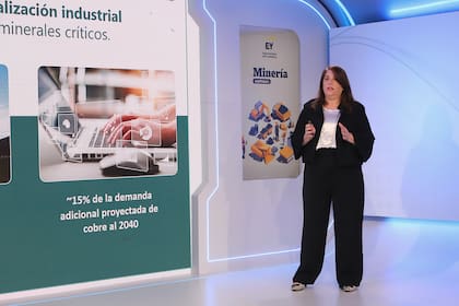 Izquierdo asegura que este año la exportación de productos mineros superaría los US$5100 millones.