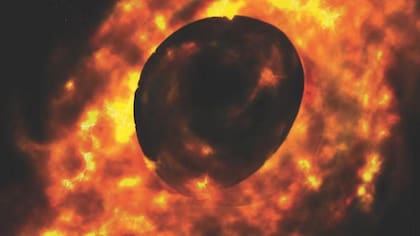 J0529-4351 tiene entre 15 y 20 mil millones de veces la masa de nuestro Sol