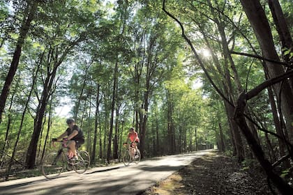 Jacksonville - Baldwin Rail Trail es uno de los primeros parques en Florida