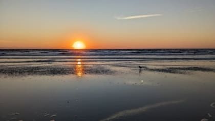 Jacksonvillees la ciudad de origen del gobernador Ron DeSantis (VisitJacksonville)