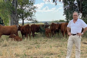 El experto que le pone un segundo piso a los campos ganaderos