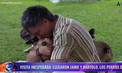 Jaime y Bartolo, los perros de Devi, ingresaron a la casa de Gran Hermano