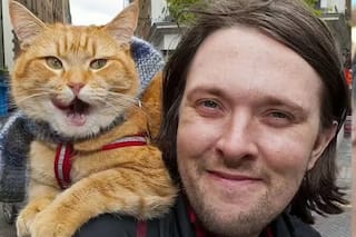 Vivía en la calle, adoptó un gato y gracias al animal se volvió millonario