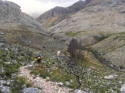 James ha recorrido los 5 continentes reconociendo especies y comunidades de plantas.