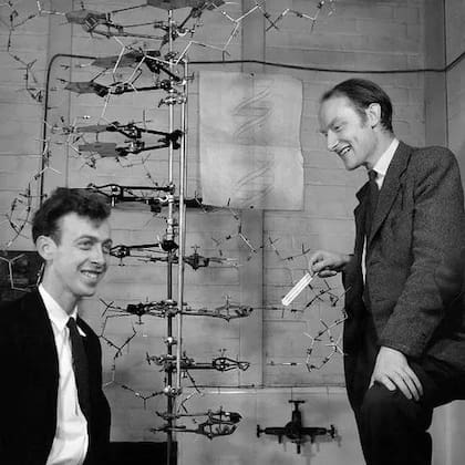 James Watson y Francis Crick con su famoso modelo de la estructura del ADN.