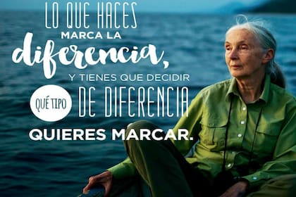 Jane Goodall en Argentina http://www.janegoodall.com.ar/