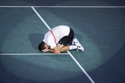 Janowicz clasificó a la final en París-Bercy
