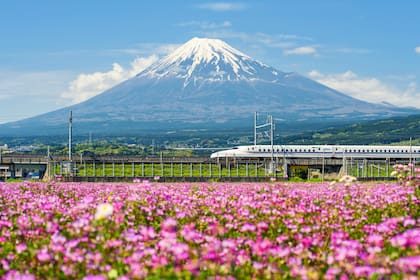 Japón fue el primer país en desarrollar, en 1964, una red de trenes de alta velocidad, con el objetivo de conectar las regiones del país con la capital. 