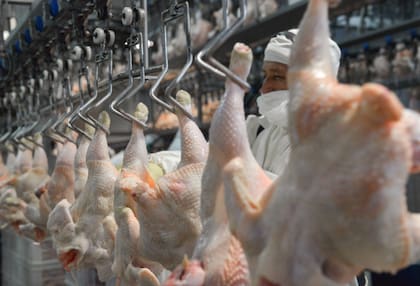 Japón había definido la suspensión luego de la aparición de un caso de influenza aviar en aves de traspatio