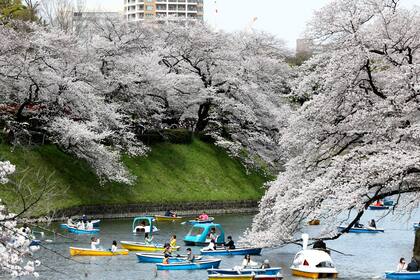 Japón reabre de a poco para los turistas internacionales