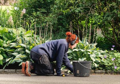 Tareas de mantenimiento en el Jardín Botánico.
