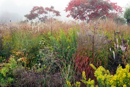 Jardn diseado por el paisajista Piet Oudolf