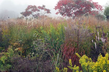 Jardín naturalista con el sello del holandés Piet Oudolf. Para él, el naturalismo, aunque ya fue descubierto por un público amplio, aún es una aventura.