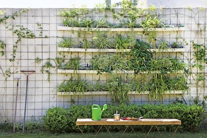 Jardín vertical de plantas colgantes hecho con canaletas de PVC y banco ‘Zig-zag’ con base de planchuelas de hierro y madera sobrante de obra, todo hecho por Felipe. 