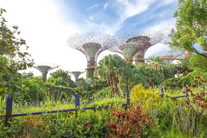 Jardines de la Bahía en Singapur, Singapur