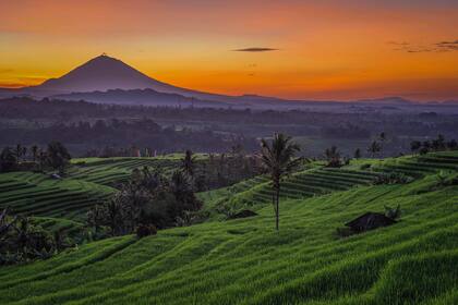 Jatiluwih, Indonesia
Gentileza BTV