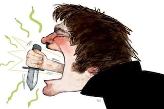 Insultar y agraviar no suelen ser virtudes políticas