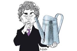 Milei y la búsqueda de un desarrollo sin desarrollismo